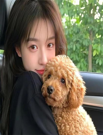 杏林春暖文化理解指南必看的：背景知识与文化差异